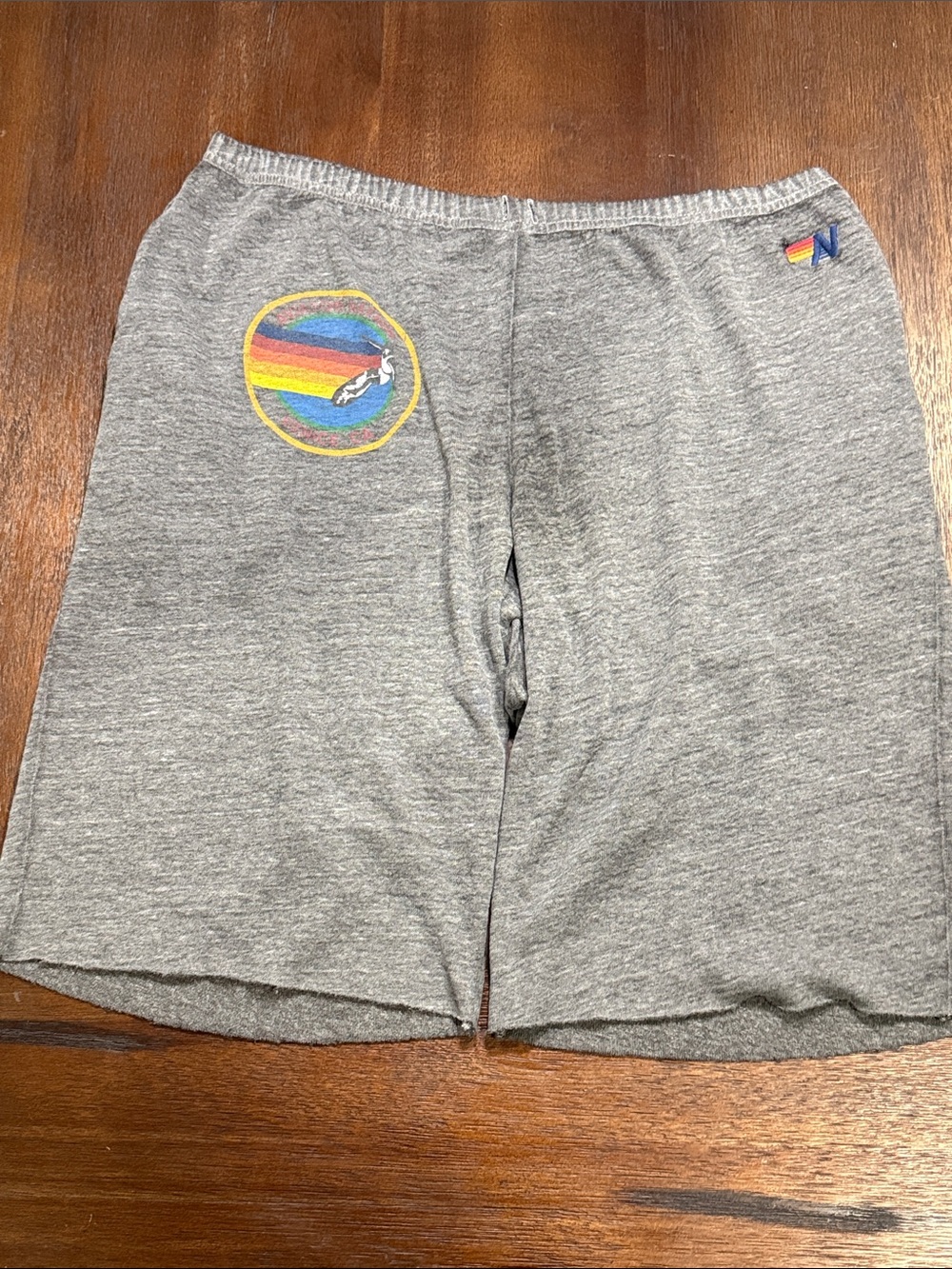 Aviator Nation Grey Shorts with Rainbow Logo XL